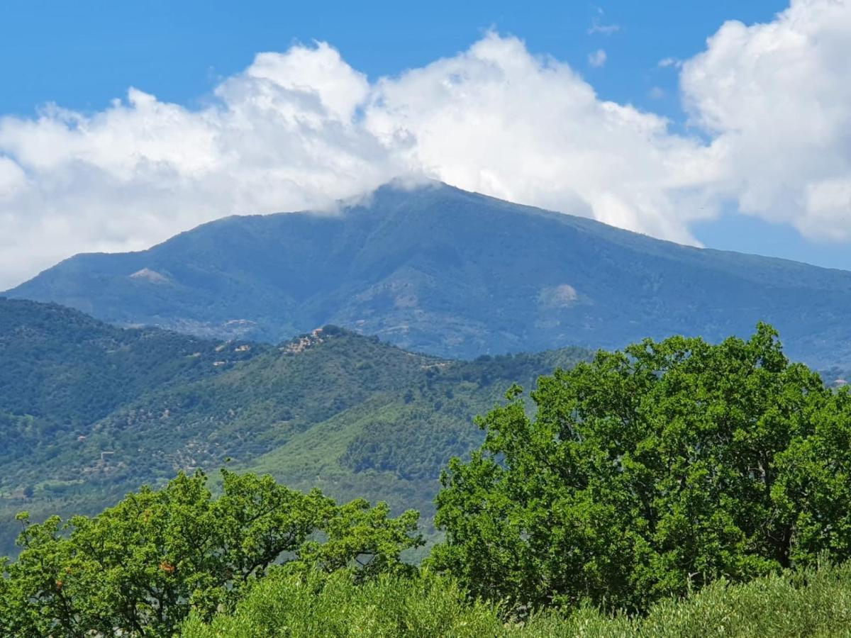 Villa Colle Del Mirto Castelnuovo Cilento Exterior foto